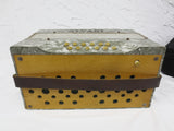 Vintage Alvari Germany Piano Accordion with Case, Mother of Pearl, 12 Bass