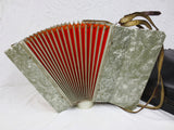 Vintage Alvari Germany Piano Accordion with Case, Mother of Pearl, 12 Bass