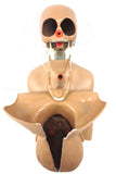 Gaumard Medical Manikin Torso & Head Set 2', CPR Sima Model, Nursing Students