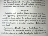 Antique 1899 Medical Book Guide on Fever-Nursing by J.C. Wilson, Practical Lessons In Nursing, Typhoid, Typhus, Pneumonia, Scarlet Fever