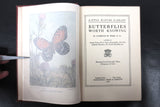 Antique 1917 Butterflies Worth Knowing Book by Clarence Weed, 32 Color Plates