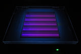 UVP 3UV Transilluminator Model LMS-20E, 3 Modes UV-A 365nm UV-B 302nm UV-C 254nm